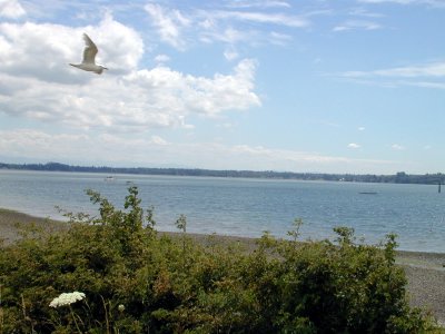 20060714-150135.jpg