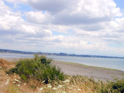 20060714-150141.jpg