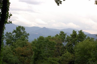 20060728-183652.jpg