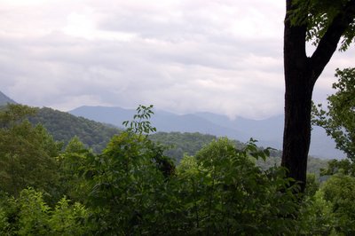 20060728-183659.jpg
