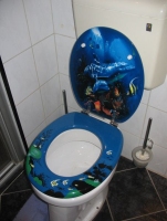 Decorative_toilet_seat.jpg
